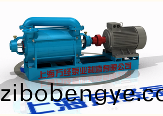 2SK係(xi)列(lie)水(shui)環(huán)(huan)式(shi)真(zhen)空泵的內(nèi)(nei)部結(jié)(jie)構(gòu)(gou)－分解(jie)視頻